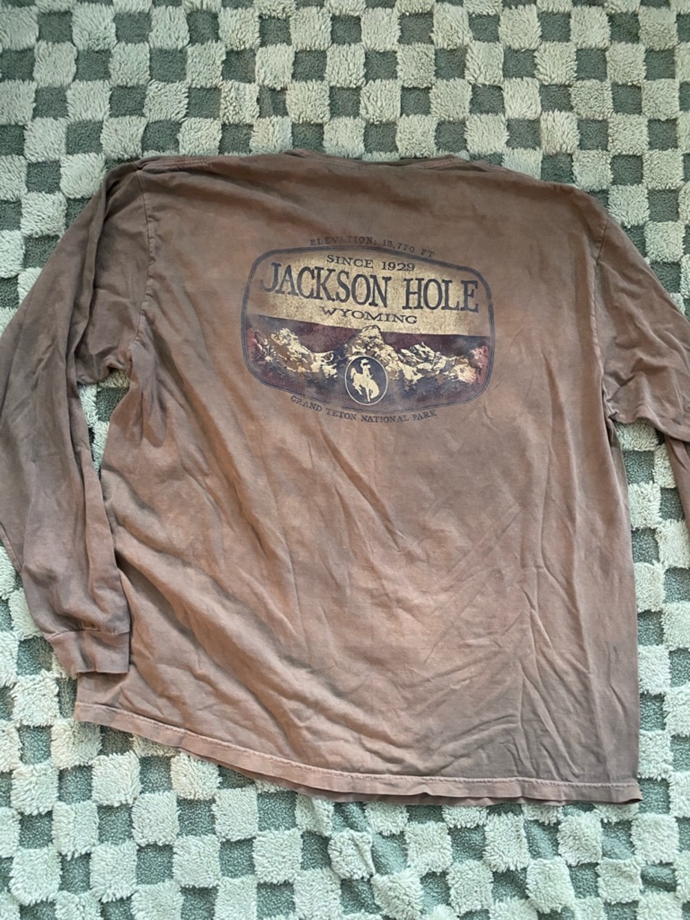 Jackson Hole Men's Long Sleeve Graphic Tee - Brown